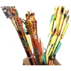 Image 1 : Box Lot Mixed  Arrows 