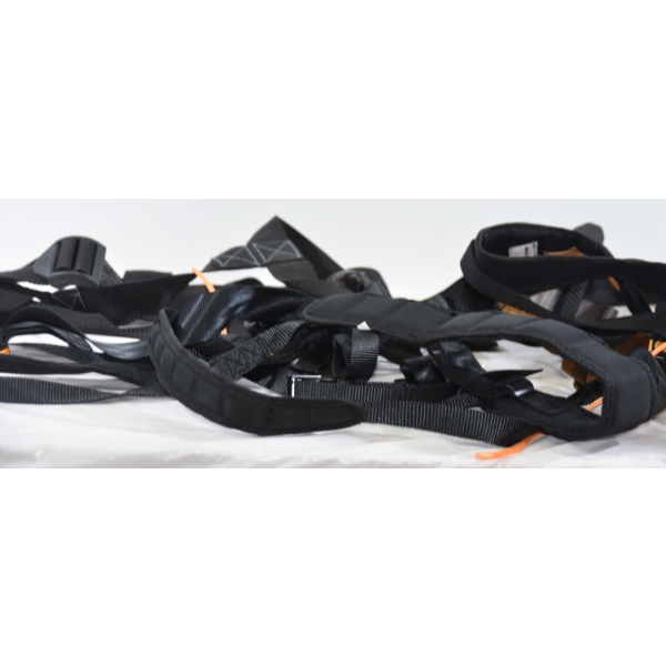 Box Lot Harnesses