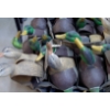 Image 7 : Avery Green Head Gear 34 Mallard Decoy Shells w/ Carry Bag