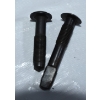 Image 4 : Over 50 Gun Screws, Springs Etc. 