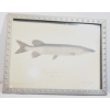 Image 4 : Box Lot Paintings/Pictures