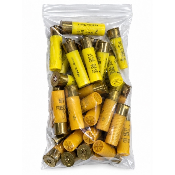 34 Rounds Assorted 20ga 2-3/4" Ammunition 