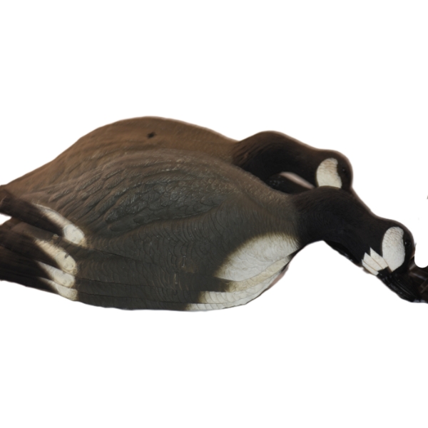 12 Goose Decoys