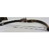 Image 1 : Browning Compound Bow & Accessories