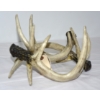 Image 3 : Display Wine Bottle Rack