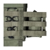 Image 4 : Tasmanian Tiger Plate Carrier MKIV olive S/m TT-7155-311.1