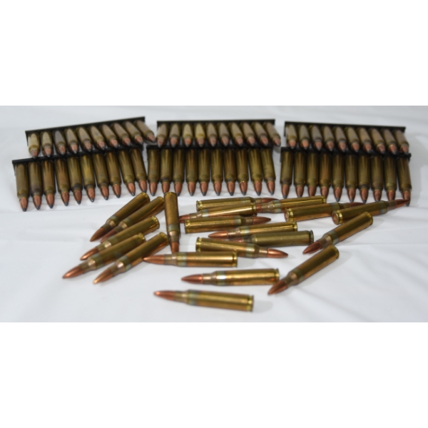 100 Rounds .223 Rem Caliber Ammunition
