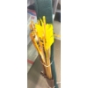 Image 2 : Box Lot Long Bow & Accessories 