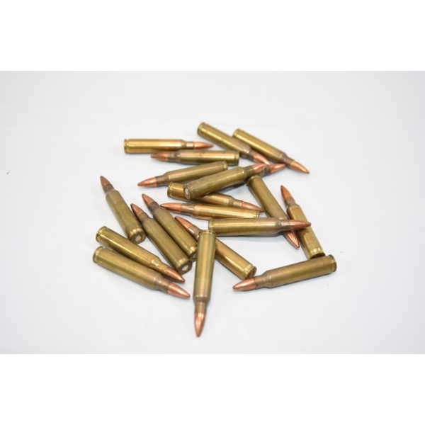 20 Rounds 5.56 (223 Rem) FMJ Ammo