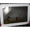 Image 9 : Box Lot Prints & Calendar
