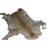 Image 1 : 2 Leopard Hydes