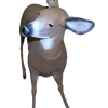 Image 2 : Deer Decoy