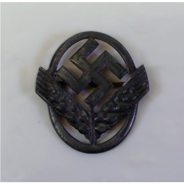 WWII German RADwJ Cap Badge