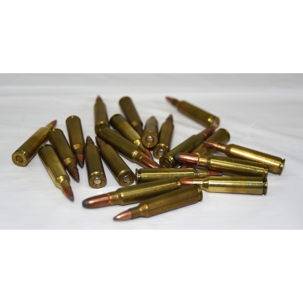 21 Rounds Assorted Brands & Caliber Rifle Ammunition - See Description