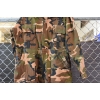 Image 3 : Winchester Camo Coveralls