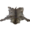 Image 4 : 2 Leopard Hydes
