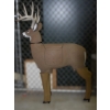 Image 5 : Glendel Buck 3D Target