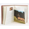 Image 2 : Hunting In America Book By Charles F. Waterman 