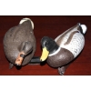 Image 3 : Bag of Mixed Mallard Decoys