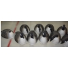 Image 3 : 12 Geese Decoys