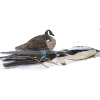 Image 1 : Box Lot Assorted Decoys 
