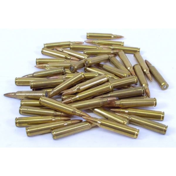 50 Rounds 223 Remington Ammunition 