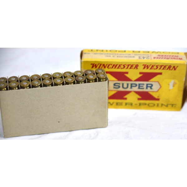 20 Rounds Winchester 243 Win 100 Grain Ammunition 