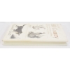 Image 4 : Hill Country Book By Gene Hill 