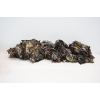 Image 4 : Box Lot Mossy Oak Whistling Winds Bag & 3D Leaf Ghillie Suit