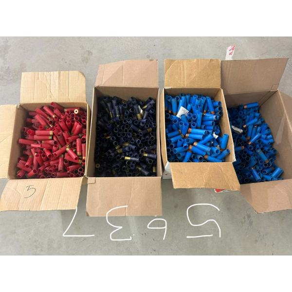 Large Quantity of 12 Gauge Hulls