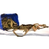 Image 5 : Box Lot Belts 