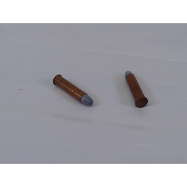 41 Rounds Ammunition 