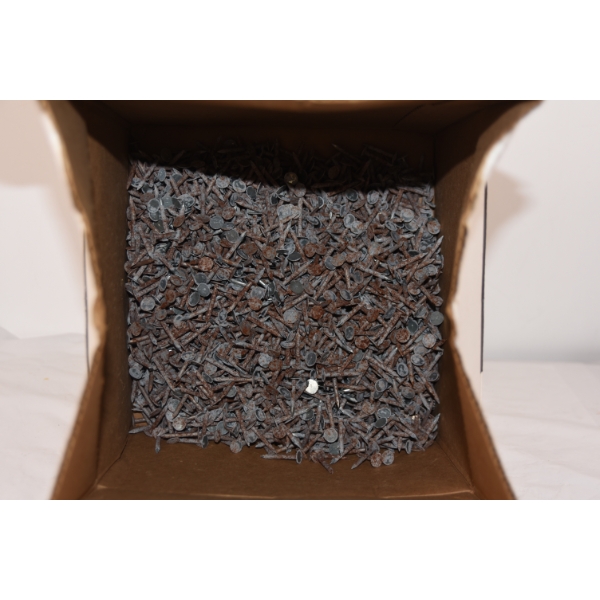 Bulk Box of 1 1/4" Roofing Nails