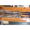 Image 4 : Winter Camo Pants, Long Sleeve Shirt & Mesh Hood