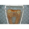 Image 9 : Canadian Army Surplus Snow Shoes With Harness 