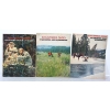 Image 1 : Winchester Cooey 1975, 1976 and 1977 Sporting Arms & Ammunition Catalogues 