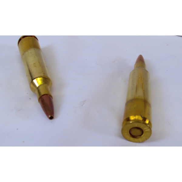 40 Rounds Winchester 22-250 Rem 45gr. Ammunition