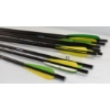 Image 3 : 8 Excaliber Bolts W/ Sharp Arrows