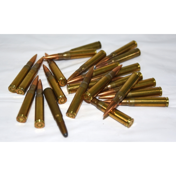 22 Rounds Assorted Brands 7.92x57mm Mauser Caliber Ammunition