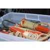 Image 1 : 10 Assorted Ropes & 4 Orange Tent  Pegs With Ropes