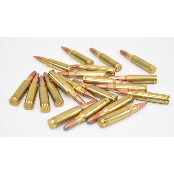 21 Rounds Assorted Brands .308 Win Caliber Ammunition