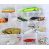 Image 3 : Clear Tackle Tray With Assorted Lures 