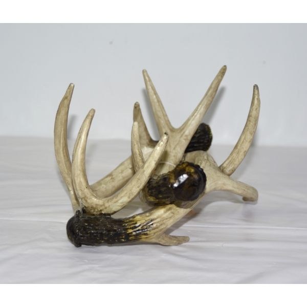 Display Wine Bottle Rack