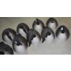 Image 2 : 12 Geese Decoys