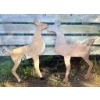 Image 1 : Pair of Wooden Deer Yard Decorations