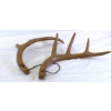 Image 2 : Decorative Faux Deer Antler Shed Display Set