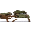 Image 3 : 3 Sleeping Bag Carriers
