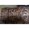 Image 6 : Action Camo Hunting Chair Blind Grass Ghost