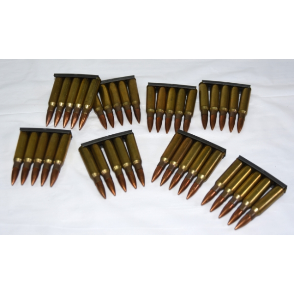 40 Rounds (5 Rd Clips) 7.62 NATO (308 Win) IVI Soft Point Factory Ammunition