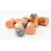 Image 3 : 65 Pieces Speer 44 Cal 240gr Mag S.P. Bullets